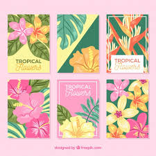 See more ideas about tropical flowers, flowers, planting flowers. Free Vector Exotic Tropical Flowers Cards