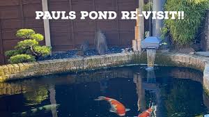 Maybe you would like to learn more about one of these? 3000 Gallon Koi Pond Re Visit Amazing Koi Bonsai Youtube