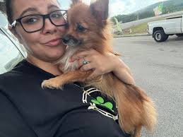 Open Road Hauling, LLC