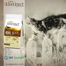 Pin On Instinct