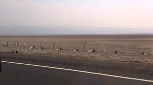 .de guadalajara a colima, debido a que los fuertes vientos han estado provocando tolvaneras. Laguna San Marcos Jalisco Tolvaneras Youtube