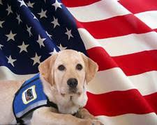 Nhms hosts several major events throughout the year, including a holiday favorite, the gift of lights. Service Animals Information And Referral Nh Governor S Commission On Disability