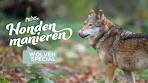 Hondenmanieren Special: Wat moet je doen als je een wolf ... - YouTube