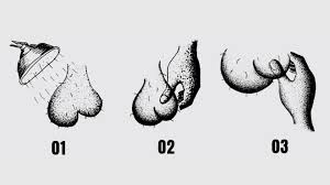 So, how do you go about checking your nuts? 3 Steps To Check Your Testicles For Cancer Health Journal