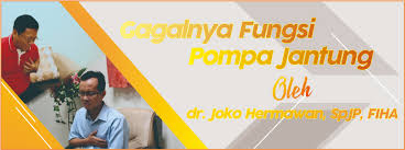 Sebelum pergi kepada fungsi jantung, elok juga kita meninjau secara ringkas struktur jantung. Gagalnya Fungsi Pompa Jantung Rumah Sakit Rkz Surabaya