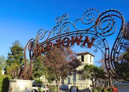 It has lots of items available other than books, including gifts, educational materials. California Scoliosis Clinic Accomodations Scoliosis Care Centers