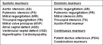 Describing Heart Murmurs Auscultation Review