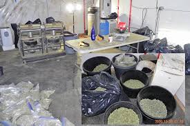 Repeat Raid On Langley Property Results In Big Cannabis Bust Langley Advance Times Best 10 location tracking apps for android and iphone to trace your loved ones 2021. repeat raid on langley property results