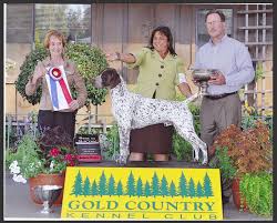 Introducing the 2021 fair beer. Gold Country Kennel Club Dog Show Nevada County Fairgrounds Grass Valley Ca