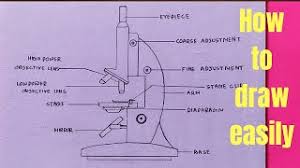 Subscribe to my channel to get more drawing videos.how to draw microscope #microscopedrawing How To Draw Microscope Diagram For Beginners Step By Step Youtube