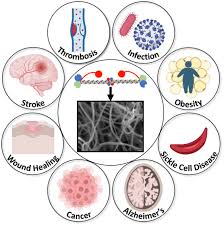 Image result for Fibrinogen