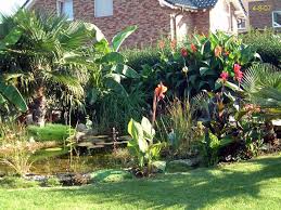 Garten 2007 Exoten Und Palmen Claus Willich Palmen Garten Tropische Pflanzen Tropische Garten