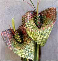 Google Image Result For Http Alibrown Co Nz Graphics Arum Lilies Jpg Flax Weaving Weaving Flax Flowers