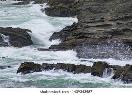 47 Gualala Images, Stock Photos & Vectors | Shutterstock