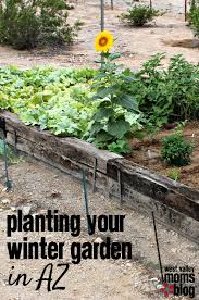 We did not find results for: Our Sister Sites City Mom Collective Connecting Local Moms Winter Vegetables Gardening Winter Garden Plants