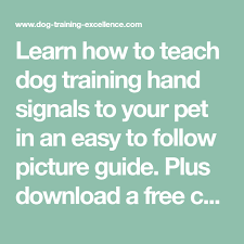 Learn How To Teach Dog Training Hand Signals To Your Pet In