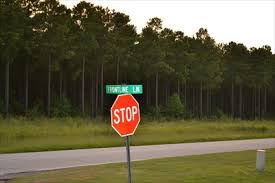 Pet wellness center opened in june 2018. Pet Wellness Center Greenwood Sc Animal Hospitals On Waymarking Com