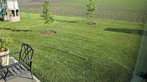 Jd Rider Slope Scalp The Lawn Forum