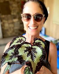 Sacramento Begonia Society (@sacbegonia) • Instagram photos and videos