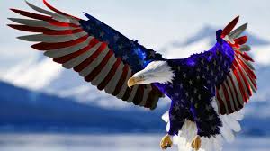 Eagle And Flag Phone Wallpapers On Wallpaperdog If you want to know other wallpaper, you could see our gallery on sidebar. eagle and flag phone wallpapers on