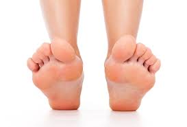 The terms tendon and ligament are often used interchangeably. 4 Common Tendon Injuries Foot Doctor Foot Surgeon Los Angeles