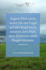 der kleine elefant und die freiheit seelenschluckauf weisheiten leben zitate leseliste