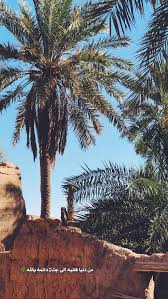 معها يارب Cover Photo Quotes Beautiful Arabic Words Photo Quotes