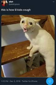 This Is How Lil Kids Cough Lololol Funny Animal Memes Kids Cough Funny Pictures