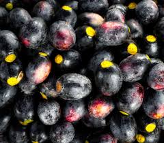 Image result for Canarium schweinfurthii