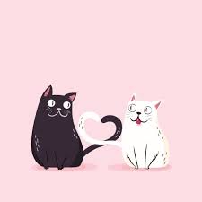 Il gatto che miagola di notte - cause e soluzioni | Cats Best