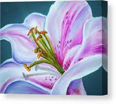 Floral Canvas Print Featuring The Painting Stargazer Lily By M Liutvinskas Flower Painting Canvas Lily Painting Flower Painting