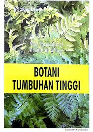 Check spelling or type a new query. Pdf Botani Tumbuhan Tinggi