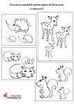 Vaca cal iapa manz oaie gasca rata mai exact animalele domestice(care traiesc in preajma omului). Imagini Pentru Fise De Lucru Cu Animale Salbatice Grupa Mare Art Comics