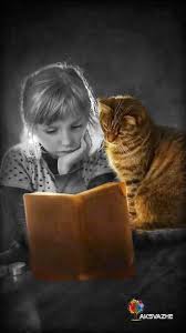 aksvazhe splash kitap hayvanlar kedi