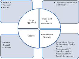 Read more about cervical cancer treatment options including surgery, radiation, chemotherapy, and immunotherapy. Various Drugs Used In The Treatment Of Cervical Cancer A Higher Download Scientific Diagram