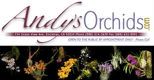 Image result for Cribbia