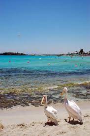 Dsc 7676 Lr Nissi Beach Sea And Ocean Ayia Napa