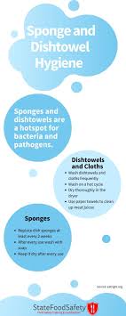 But dish towels harbor germs and should be laundered often. What S Hiding In Your Hand Towel