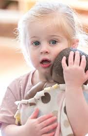 PJA Annual Report 2023-24 by Becky Hornsten