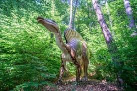 Acolo pot fi admirati 50 de. Dino Parc Rasnov Si A Deschis Portile Hotel Coroana Brasovului