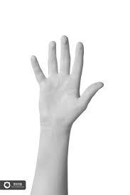 手势手掌点赞举手语言胳膊手臂素材合集 素材喵 okay gesture icon reserved