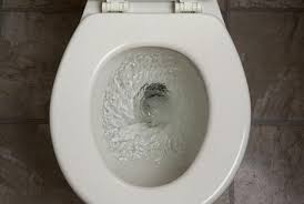 Pediatric Resident Drops Duty Cell Phone In Toilet Right Before Shift Change Droppedphoneintoilet Green Drinks Toilet Water Conservation