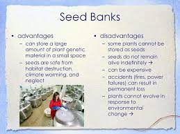 California wildflowers build seed banks during drought the same way a prudent employee saves money during a recession. Wildlife Conservation And Management Ppt Download