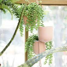 Buy these products now at fantastic deals from trusted suppliers. The 11 Best Places To Buy Fake Plants Online In 2021