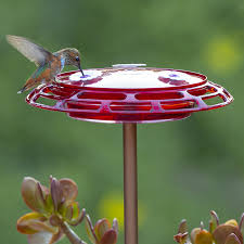 Attract more hummingbirds this year with these beautifully reviews of top feeder brands such as perky pet, first nature, aspects, gnome and more birds are included. Duncraft Com 3 In 1 Hummingbird Feeder