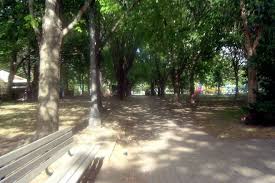 It's a heavenly blessed souasaphone you uncultured peasant! Trinity Bellwoods Park Is One Of The Very Best Things To Do In Toronto