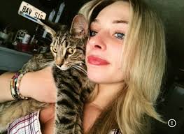 Lost Cat Blue in High Ridge near Paradise Valley Golf Course