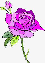 وردي وردي وردي planting roses rose clipart red roses