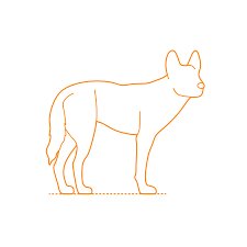 Desert Animals Dimensions Drawings Dimensions Com Granted there are some related books on drawing animals but these aren't always enough. desert animals dimensions drawings