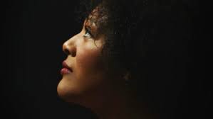 Brandi and the Alexanders: High Line Bash 2023